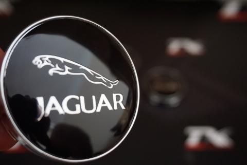 Jaguar Jant Göbeği Kapak Seti 60mm