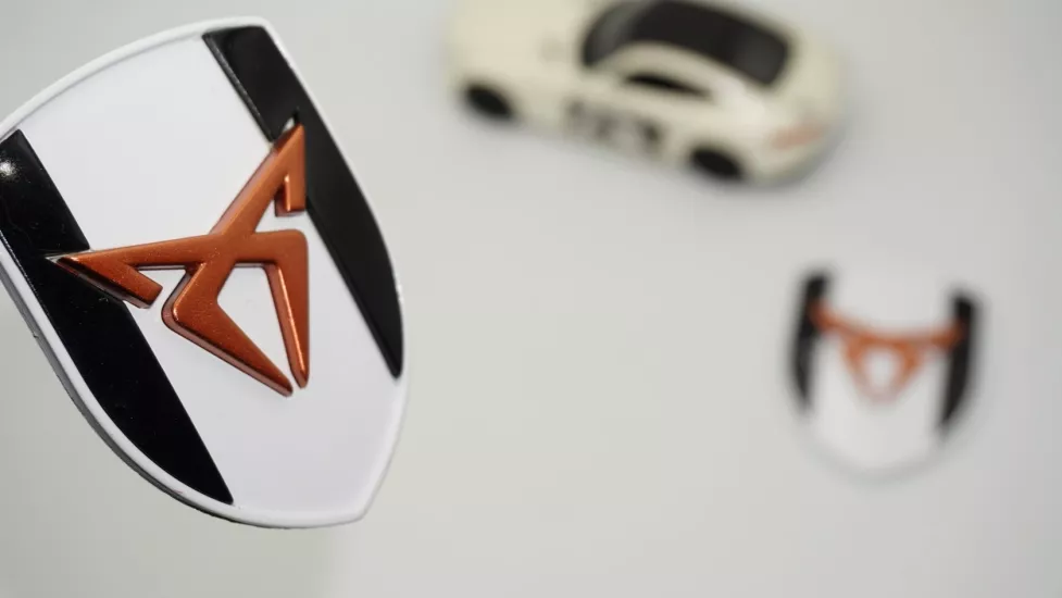 DK Tuning Seat Cupra Logo Kelebek Cam Çamurluk Yanı SB Amblem Arma Seti