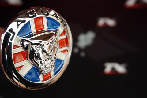 Jaguar English Flag Vidalı Ön Panjur Izgara Panter 3M 3D Logo