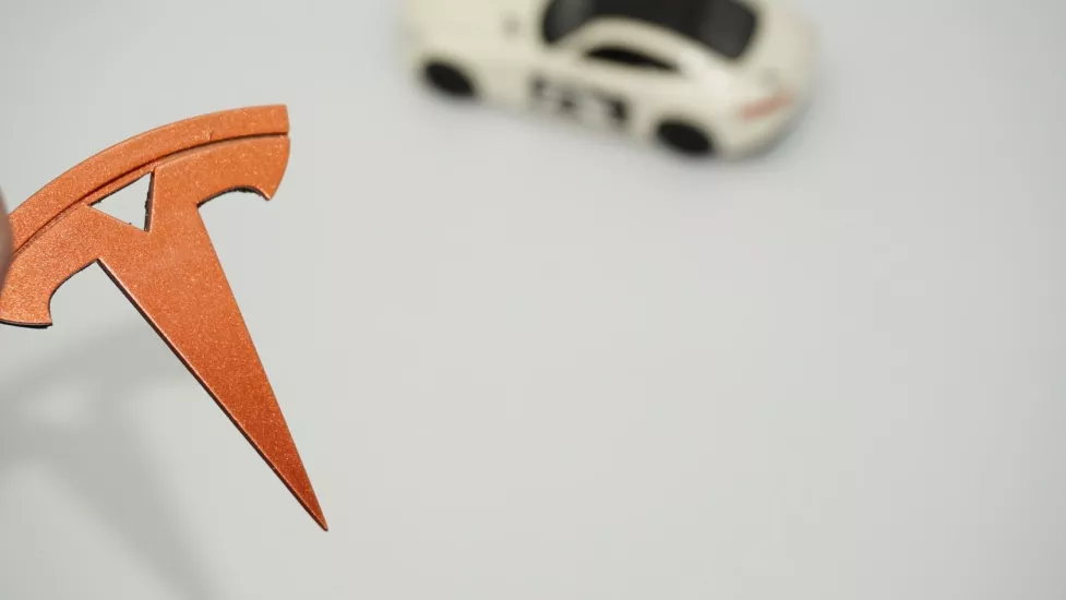 DK Tuning Tesla Model 3 S X Y Direksiyon Göbeği Bronz Logo Arma