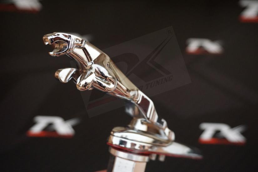 Jaguar XF XFL XFR XJ XJ6 XK S F Ön Kaput Vidalı Krom Silver Logo Arma