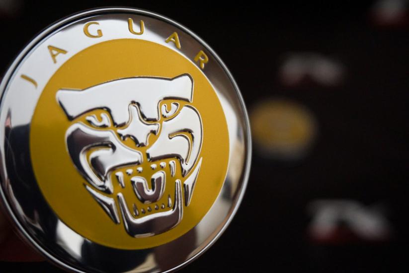 Jaguar Jant Göbeği Kapak Seti 60mm