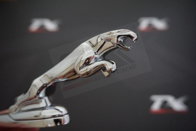 Jaguar XF XFL XFR XJ XJ6 XK S F Ön Kaput 3M 3D Krom Silver Logo Arma