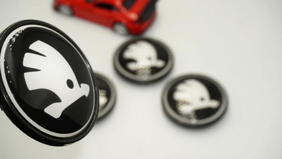 Skoda Jant Göbeği Kapak Seti 65mm