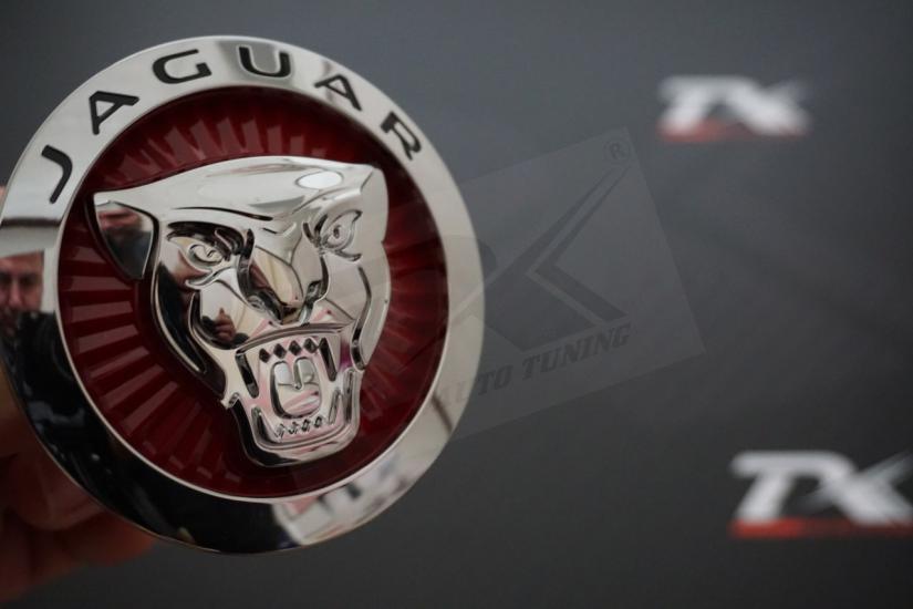 Jaguar Ön Panjur Izgara Panter 3M 3D Logo