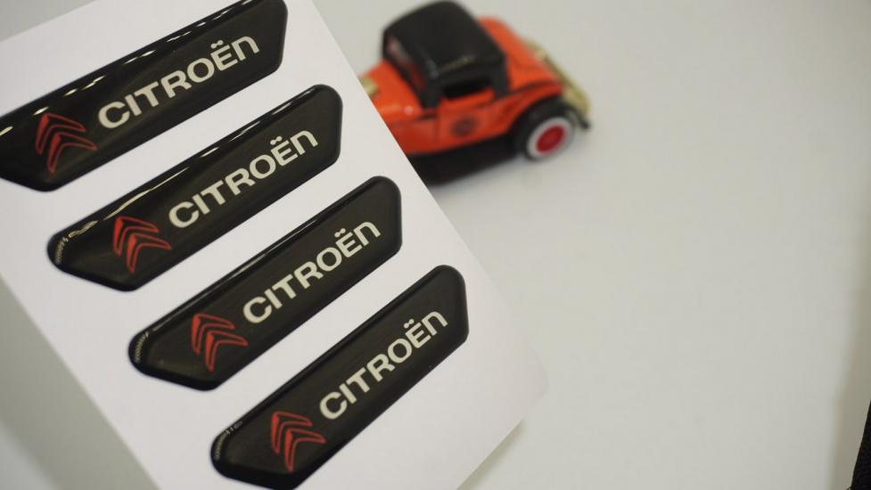 Citroen Logo C Elysee Kapı Kenarı Koruma Metalize Damla Desen 3M Band