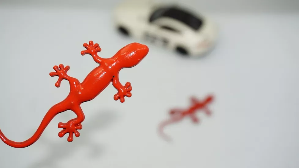 DK Tuning Audi Gecko Kırmızı ABS Body Logo Arma Seti